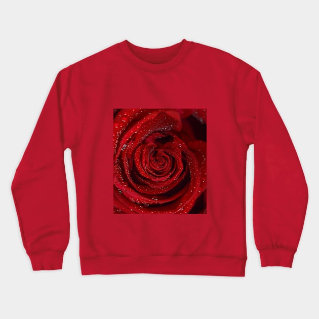 Red rose open bud with water drops Crewneck Sweatshirt by BumbleBambooPrints